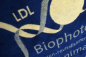 Preview: Pad Tier blau
