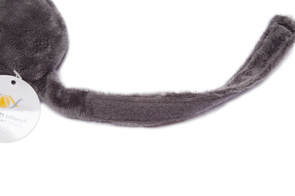 Angebot: Biophotonen-Augenmaske
